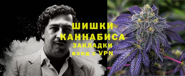 стафф Дмитровск
